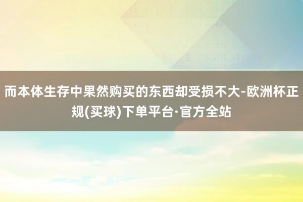 而本体生存中果然购买的东西却受损不大-欧洲杯正规(买球)下单平台·官方全站