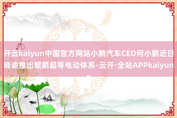 开云kaiyun中国官方网站小鹏汽车CEO何小鹏近日晓谕推出鲲鹏超等电动体系-云开·全站APPkaiyun