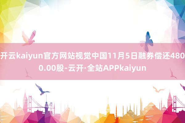 开云kaiyun官方网站视觉中国11月5日融券偿还4800.00股-云开·全站APPkaiyun