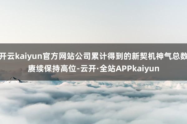 开云kaiyun官方网站公司累计得到的新契机神气总数赓续保持高位-云开·全站APPkaiyun