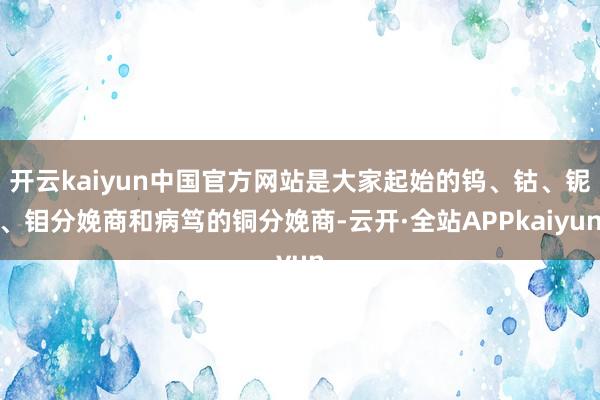 开云kaiyun中国官方网站是大家起始的钨、钴、铌、钼分娩商和病笃的铜分娩商-云开·全站APPkaiyun